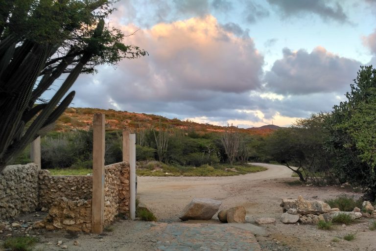 The entrance to the Balashi Gold Mill ruins in the golden light of the setting sun