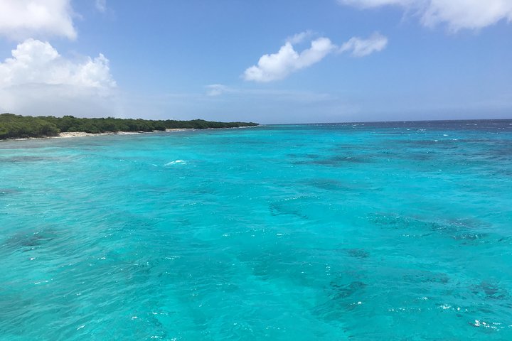 Enjoying the turquoise waters of Aruba's Mangel Halto beach