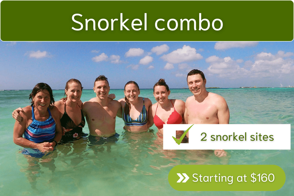 Private snorkel excursion including two stops